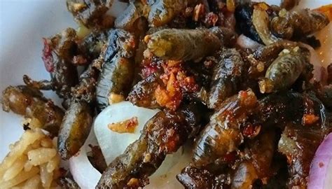 BALANG: Tagalog.